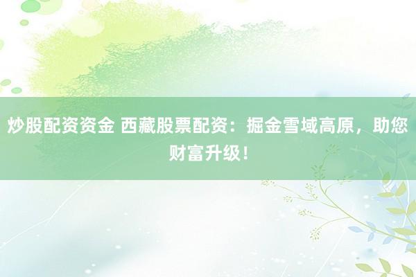 炒股配资资金 西藏股票配资：掘金雪域高原，助您财富升级！