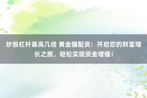 炒股杠杆最高几倍 黄金猫配资：开启您的财富增长之旅，轻松实现资金增值！