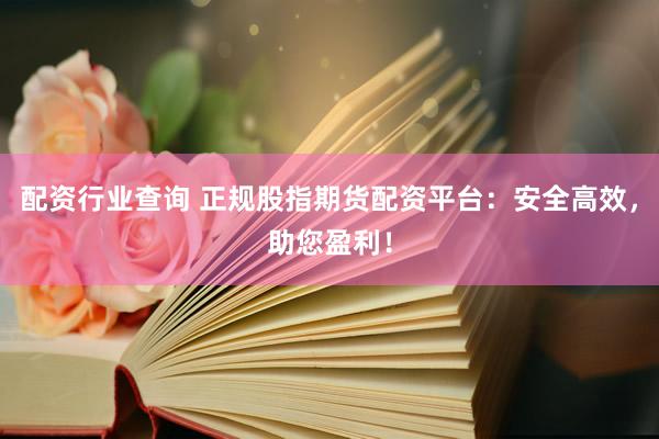 配资行业查询 正规股指期货配资平台：安全高效，助您盈利！
