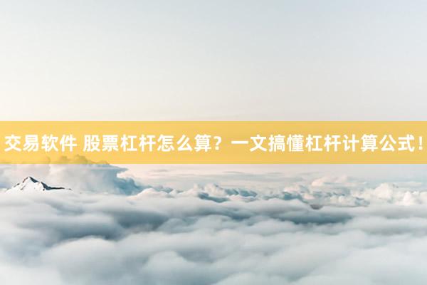 交易软件 股票杠杆怎么算？一文搞懂杠杆计算公式！
