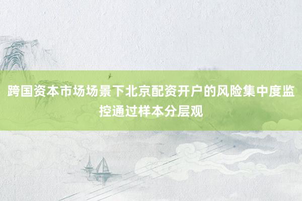 跨国资本市场场景下北京配资开户的风险集中度监控通过样本分层观