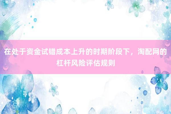 在处于资金试错成本上升的时期阶段下，淘配网的杠杆风险评估规则