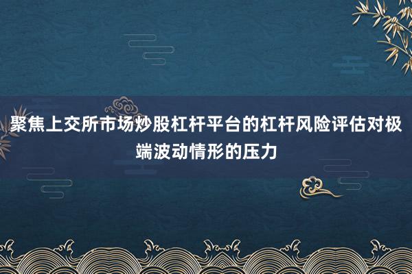 聚焦上交所市场炒股杠杆平台的杠杆风险评估对极端波动情形的压力